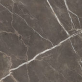 Royal Stoneworks 48X48 Regal Brown Marble Polished | Qualis Ceramica | Luxury Tile and Vinyl at affordable prices