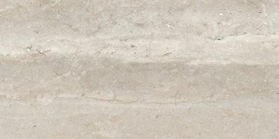 Saturnia 12×24 Silver Matte