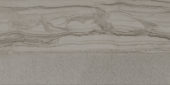 Arcadia 12X24 Trentino Polished | Qualis Ceramica | Luxury Tile and Vinyl at affordable prices