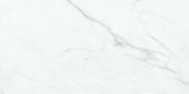 Altezza 12x24 Carrara | Qualis Ceramica | Luxury Tile and Vinyl at affordable prices