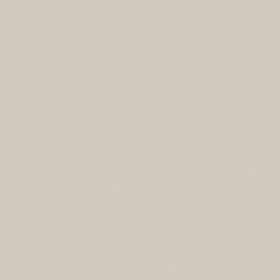 Monoforma 48×48 Oasis Polished