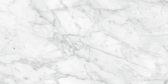 Plata 12x24 Carrara Abisso Matte | Qualis Ceramica | Luxury Tile and Vinyl at affordable prices
