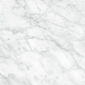 Plata 24x24 Carrara Abisso Polished | Qualis Ceramica | Luxury Tile and Vinyl at affordable prices