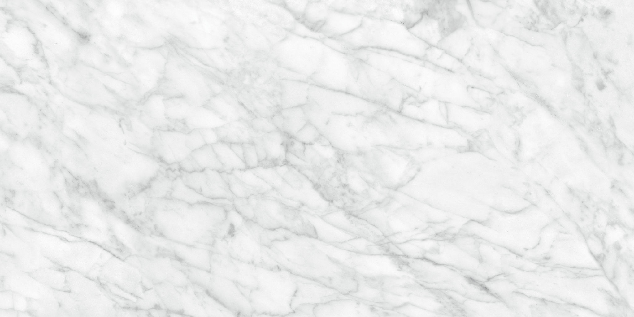 Plata 24x48 Carrara Abisso Polished