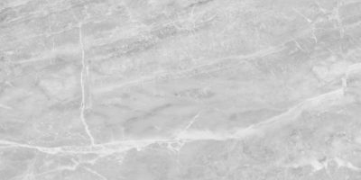 Plata 24×48 Perla Grigia Polished