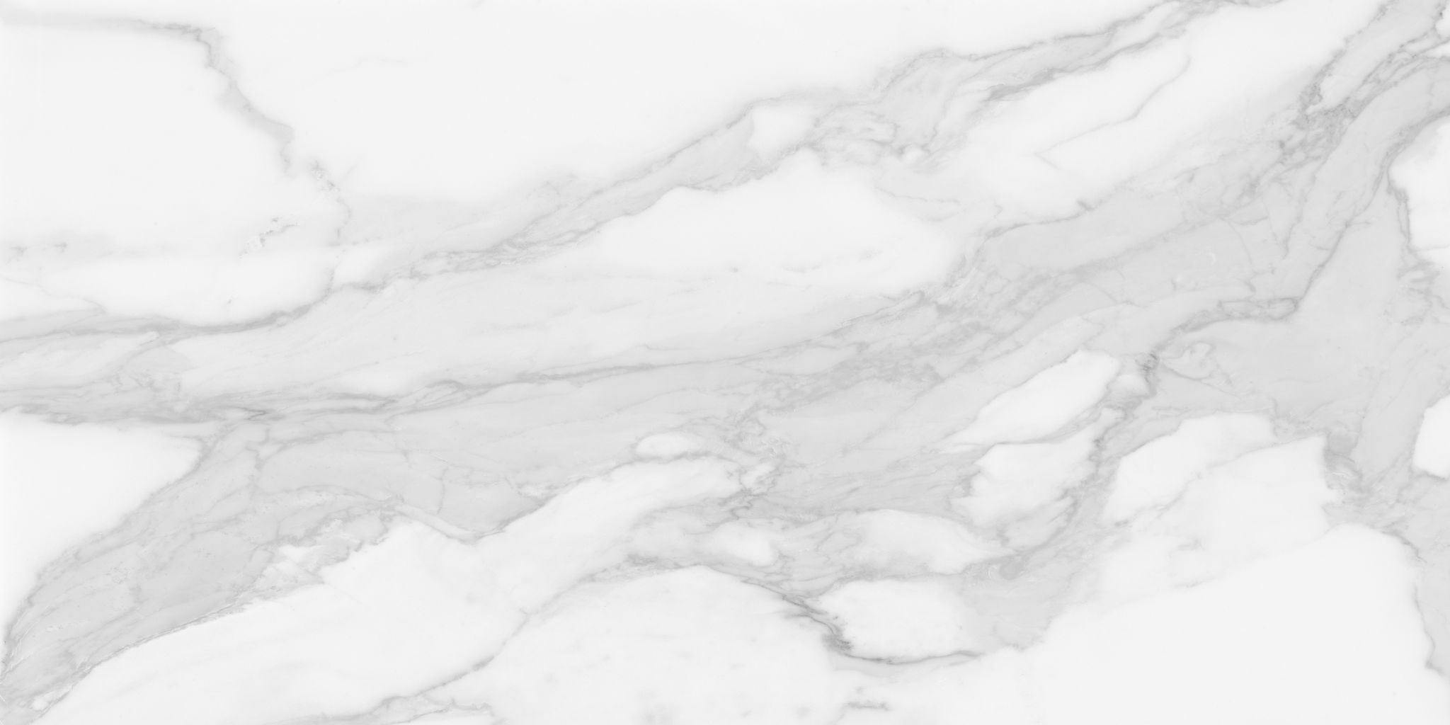 Plata 24x48 Statuario Brina Matte