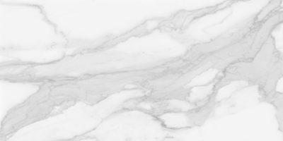 Plata 24×48 Statuario Brina Polished