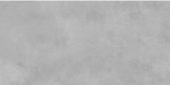 Publica 63x126 Thunder Patinated | Qualis Ceramica | Luxury Tile and Vinyl at affordable prices