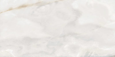 Rendezvous White Matte 24×48