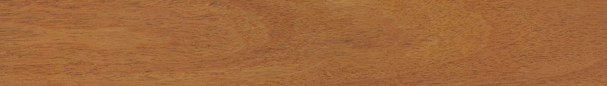 Brazilian Ecowood Maple 3 1/4" Matte