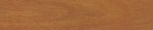 Brazilian Ecowood Maple 5" Matte | Qualis Ceramica | Luxury Tile and Vinyl at affordable prices